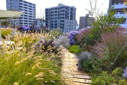 屋上ガーデン「So-En TERRACE」冬季休業のお知らせ