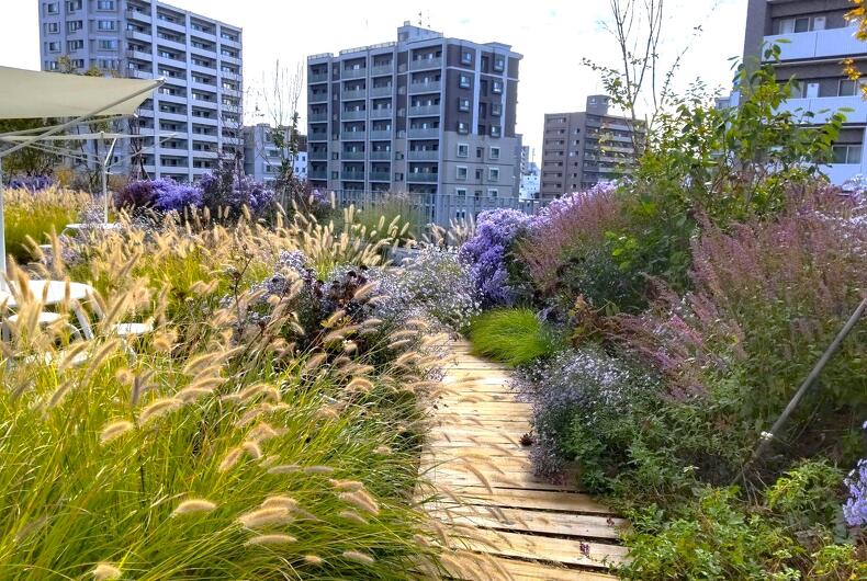 屋上ガーデン「So-En TERRACE」冬季休業のお知らせ